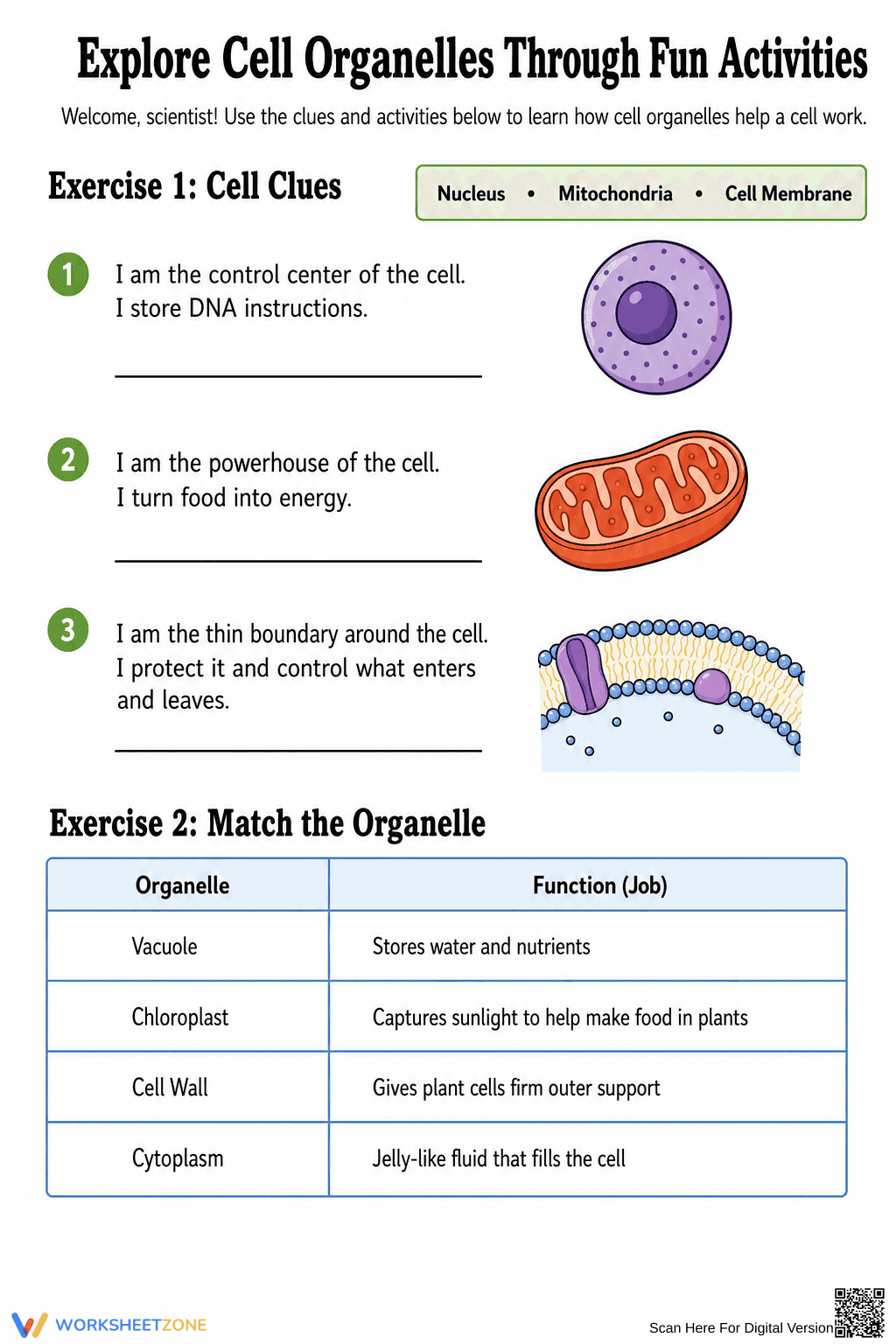 Printable Cell Organelles Worksheet | Grade 6 Science - Page 1
