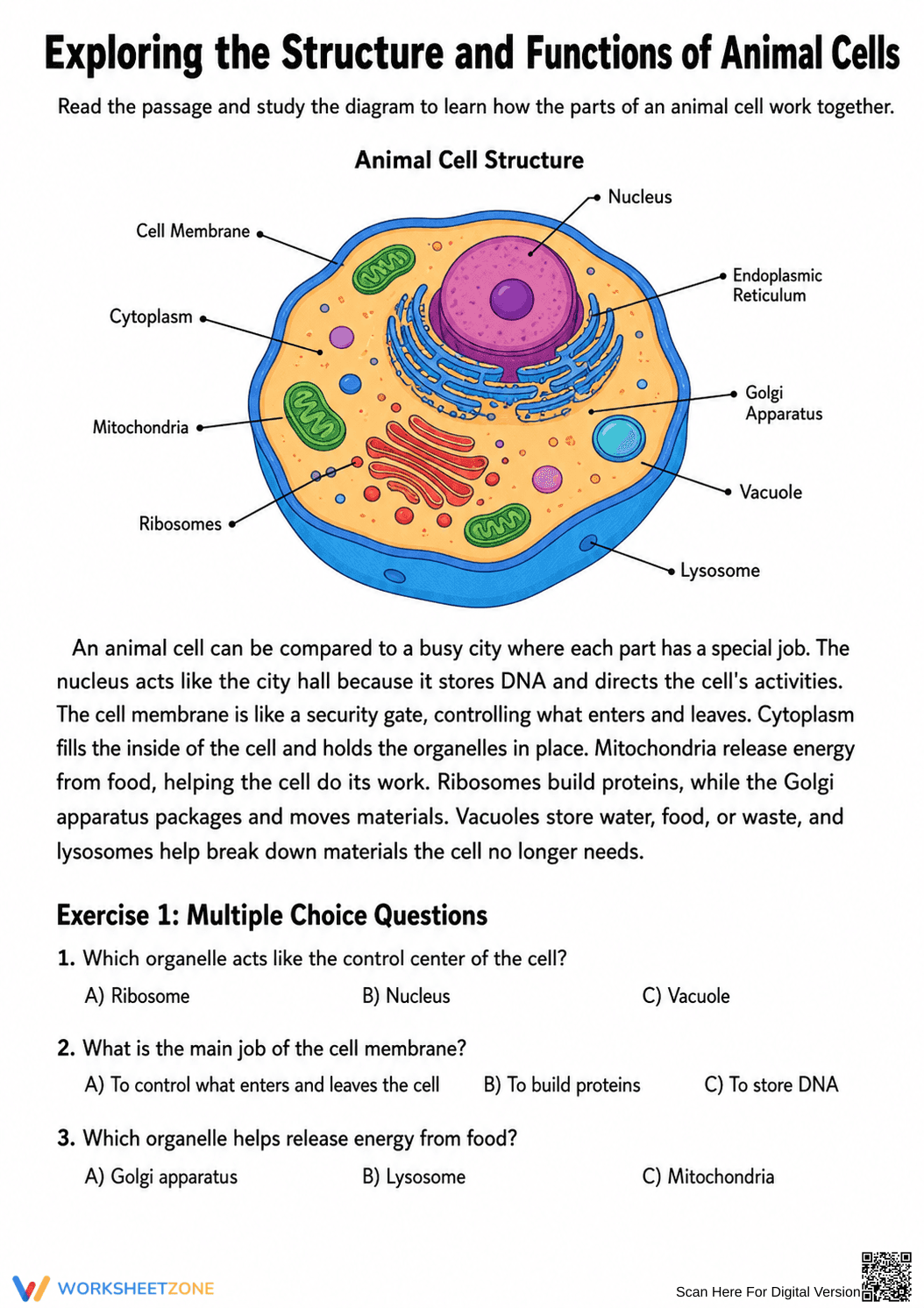 Essential Animal Cell Worksheet | Grades 5-7 Science - Page 1