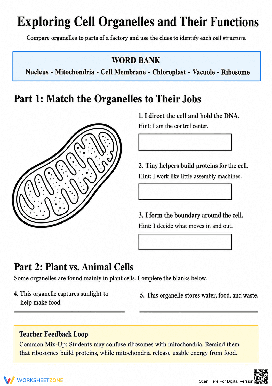 Essential Cell Organelles Worksheet | Grade 5-6 Science - Page 1