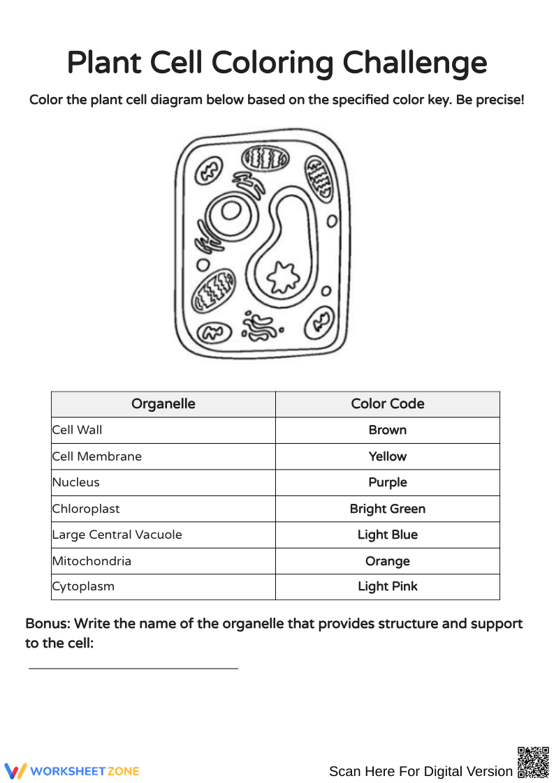 Plant Cell Coloring and Function Worksheet - Page 1