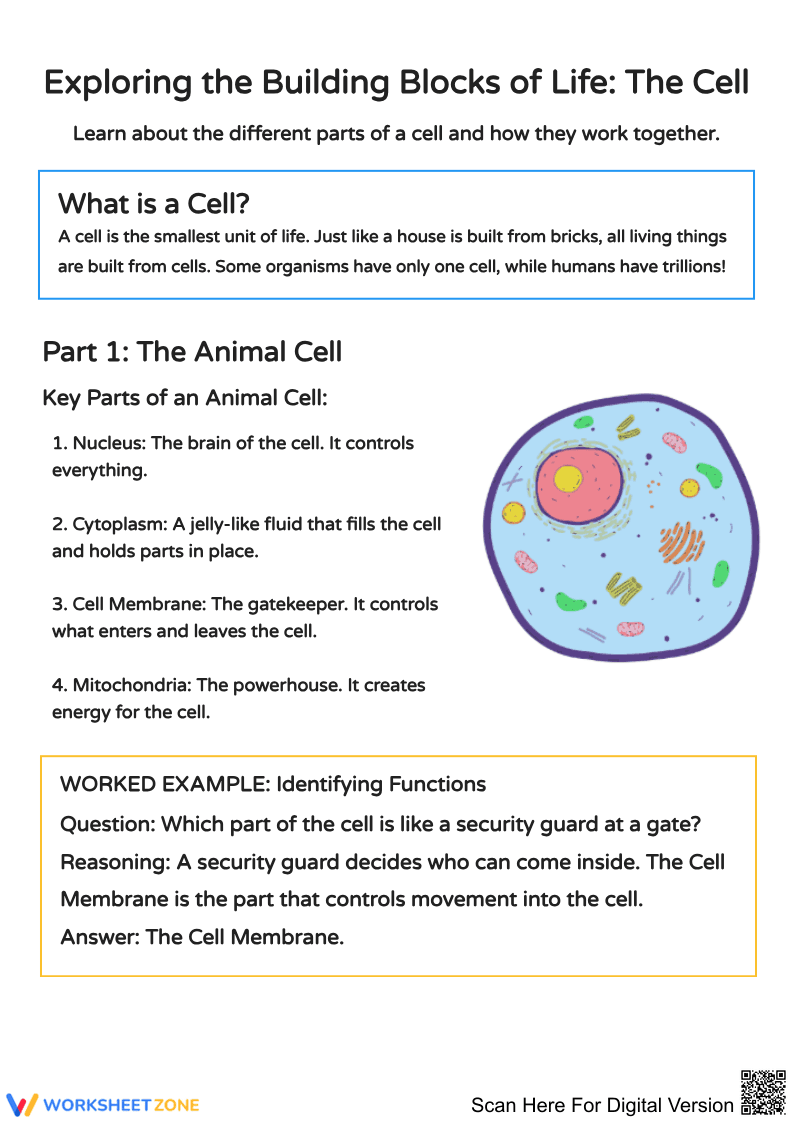 Understanding Cells: Structure and Function - Page 1