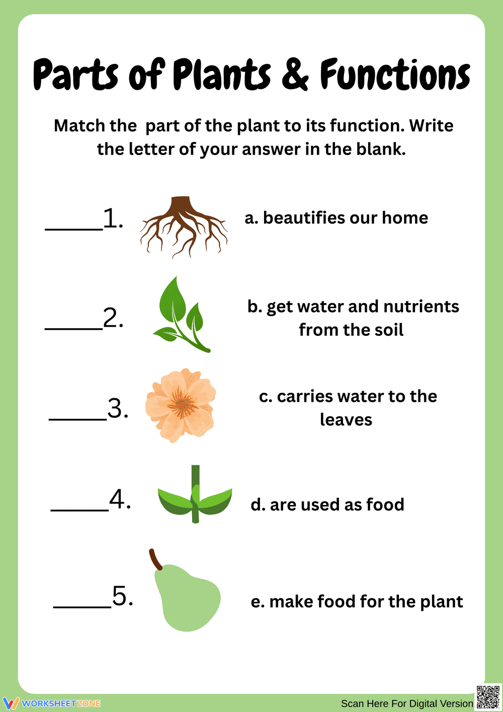 Parts of Plants and Their Functions Activity - Page 1