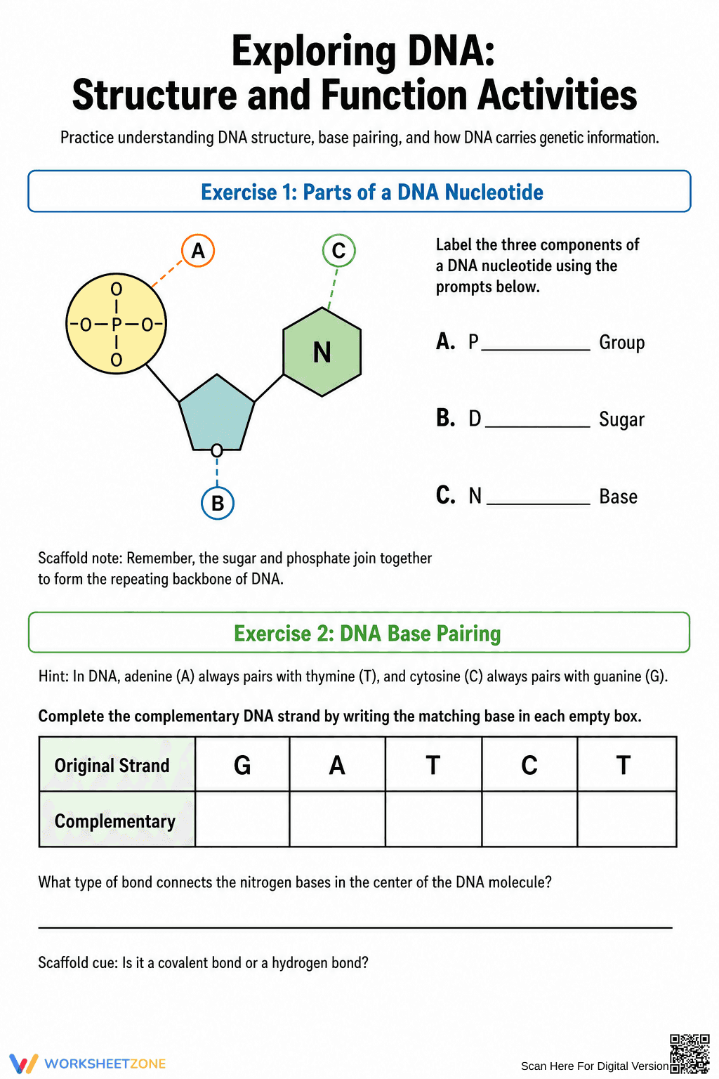Essential DNA Structure Worksheet | Grade 9-10 Science - Page 1