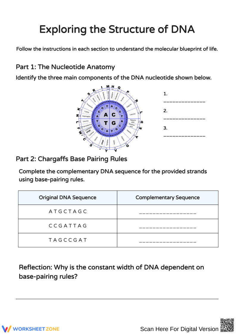 Exploring the Structure of DNA: Nucleotides and Helix - Page 1