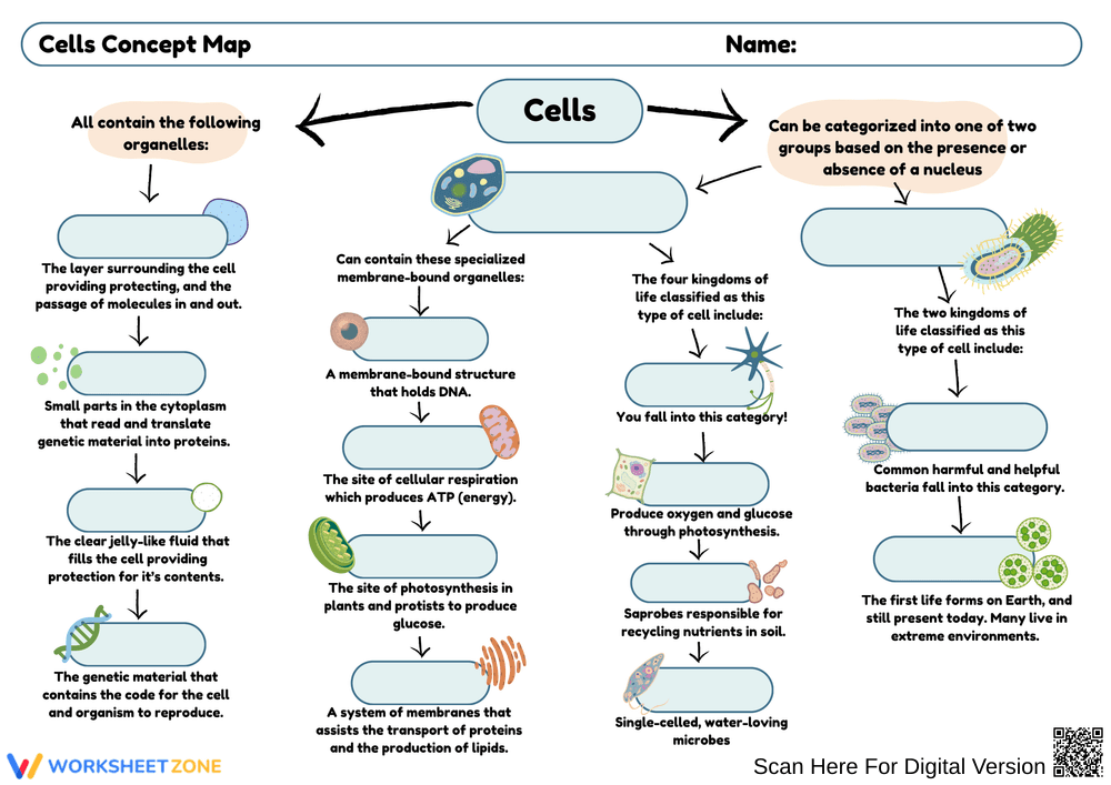 Exploring Cells: Concept Map Activity - Page 1