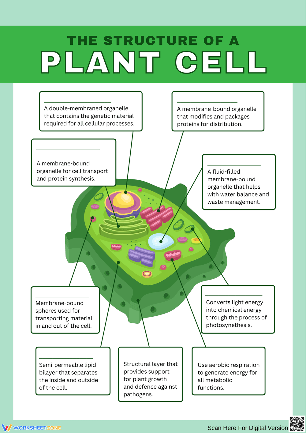 Exploring the Structure of a Plant Cell - Page 1