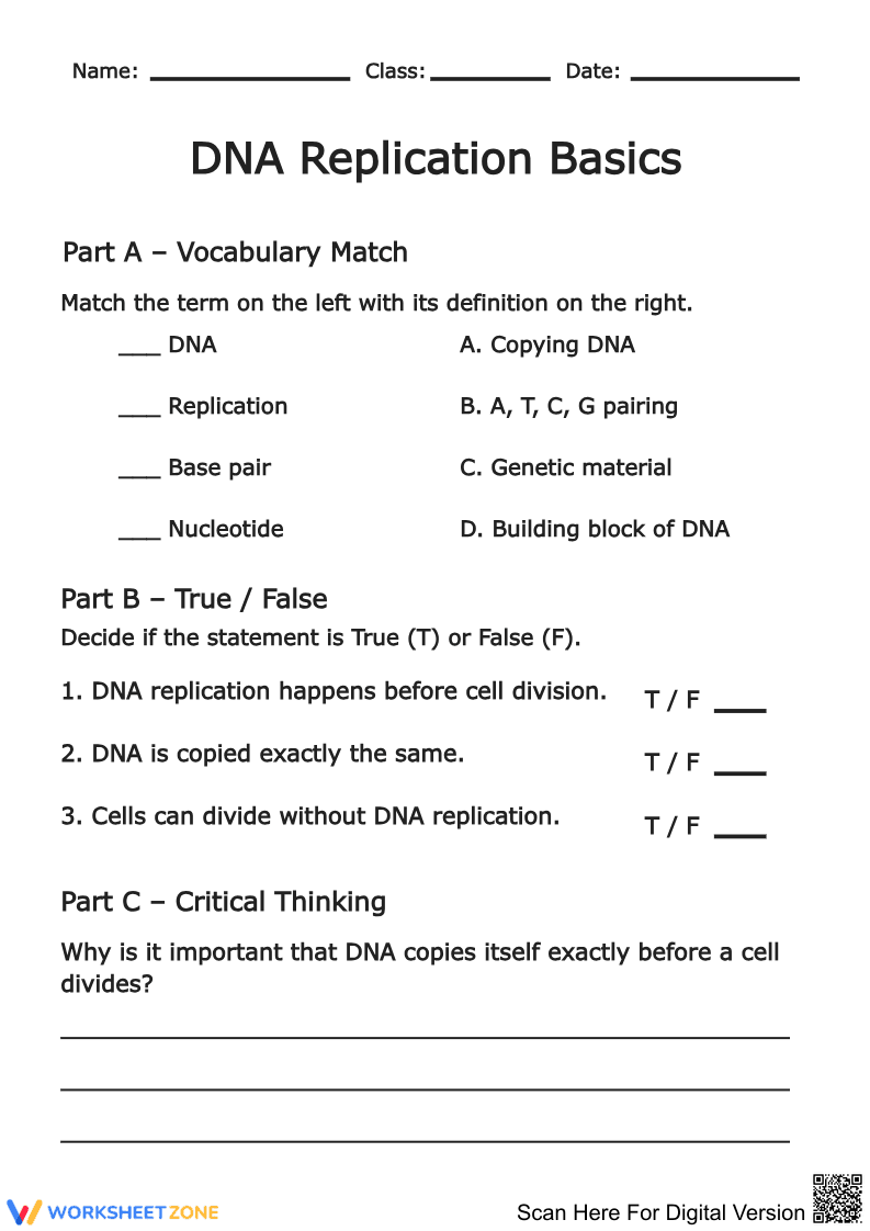 DNA Replication Basics - Page 1