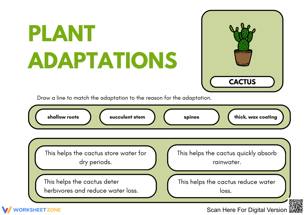 Understanding Plant Adaptations with Cacti - Page 1
