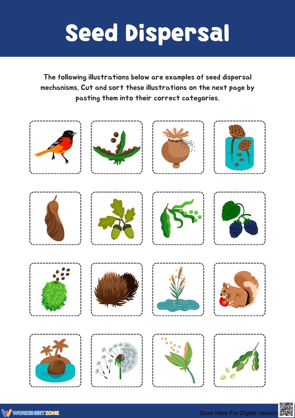 Exploring Seed Dispersal Mechanisms - Page 1