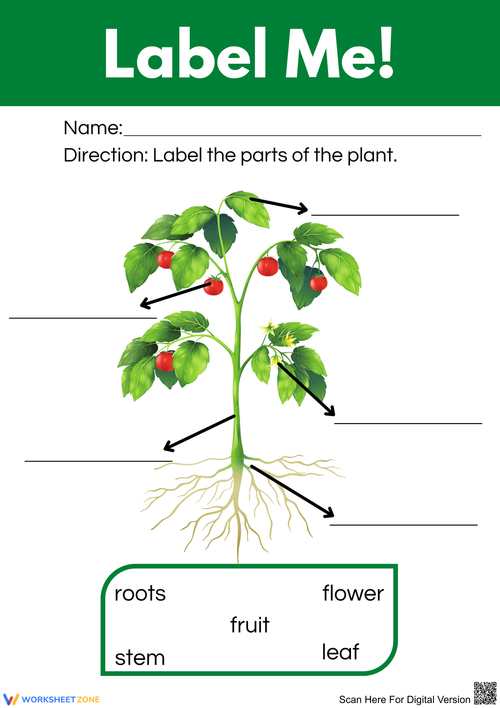 Label the Parts of a Plant - Page 1