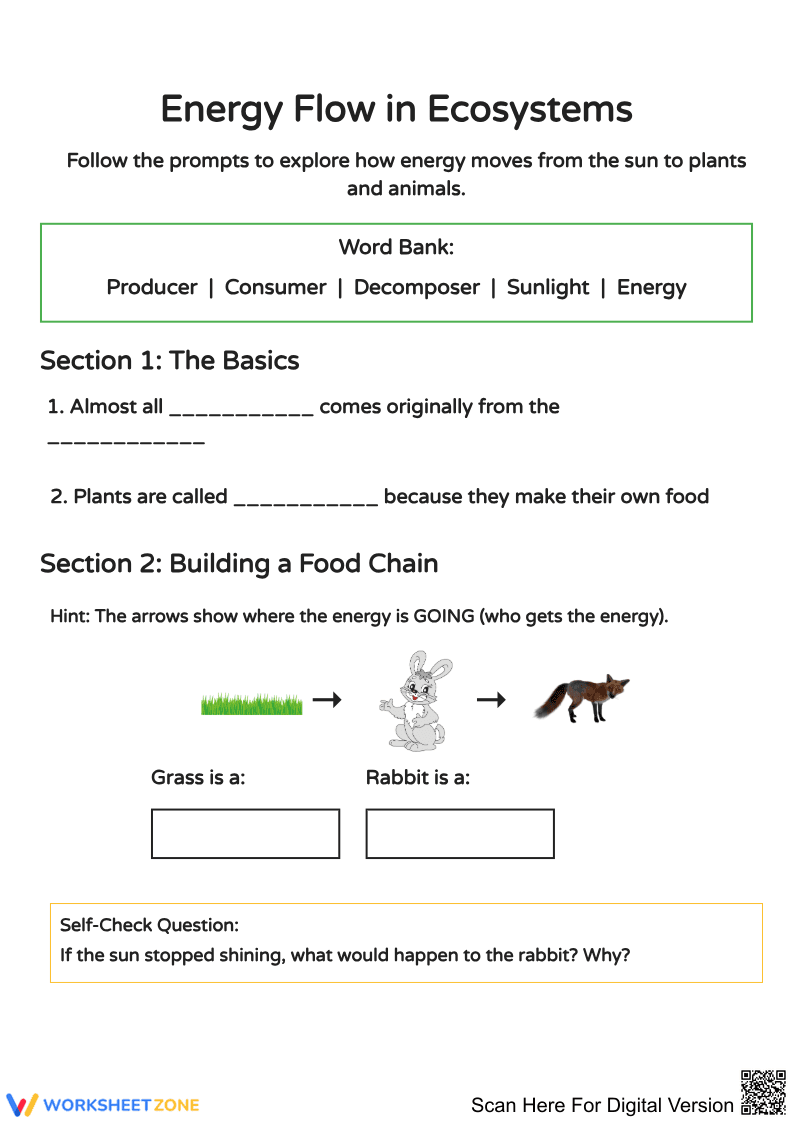 Energy Flow in Ecosystems Worksheet - Page 1