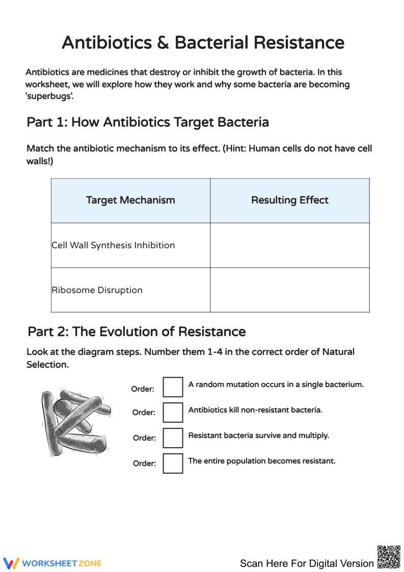 Antibiotics & Bacterial Resistance Worksheet - Page 1