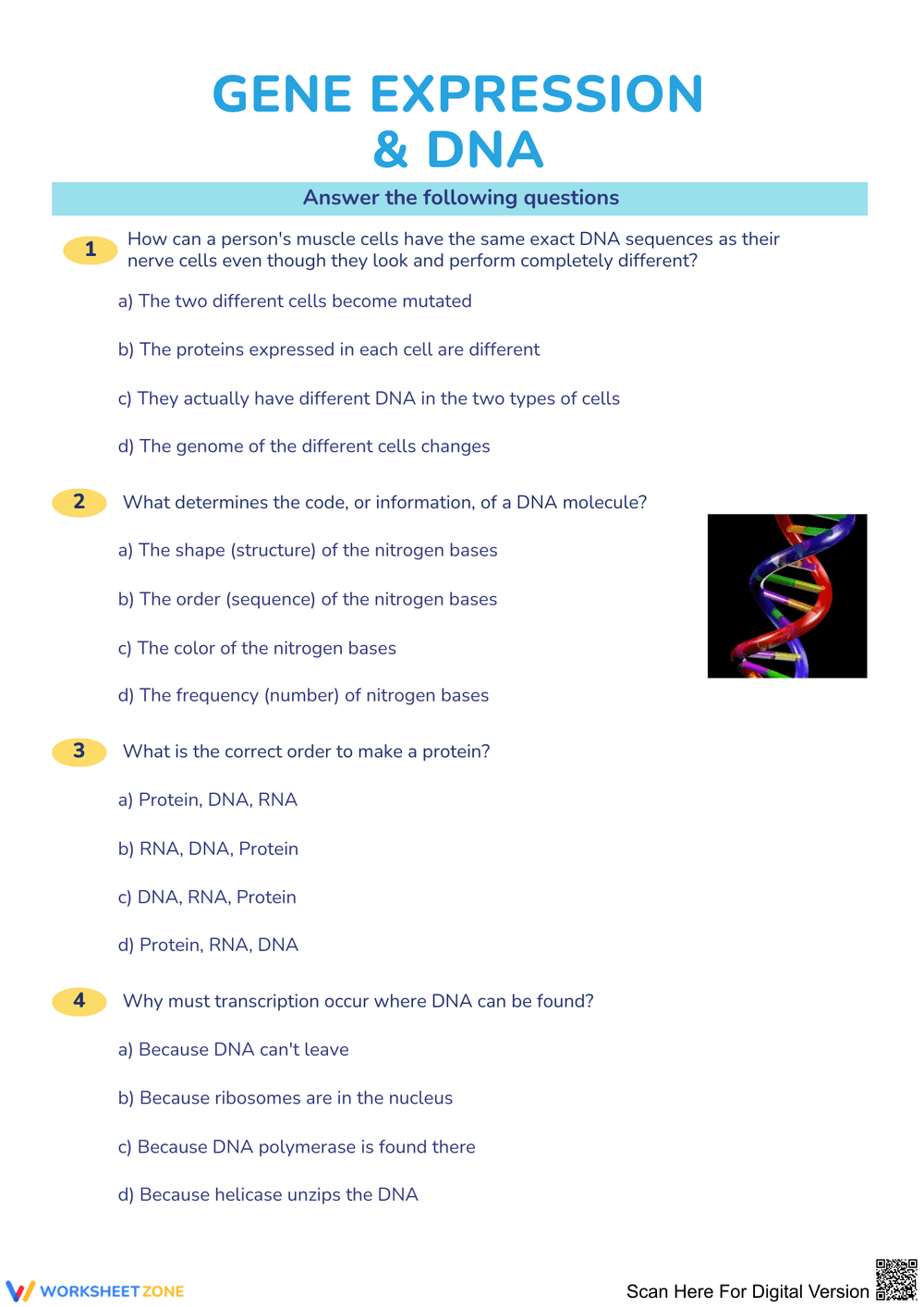 Understanding Gene Expression and DNA Basics - Page 1