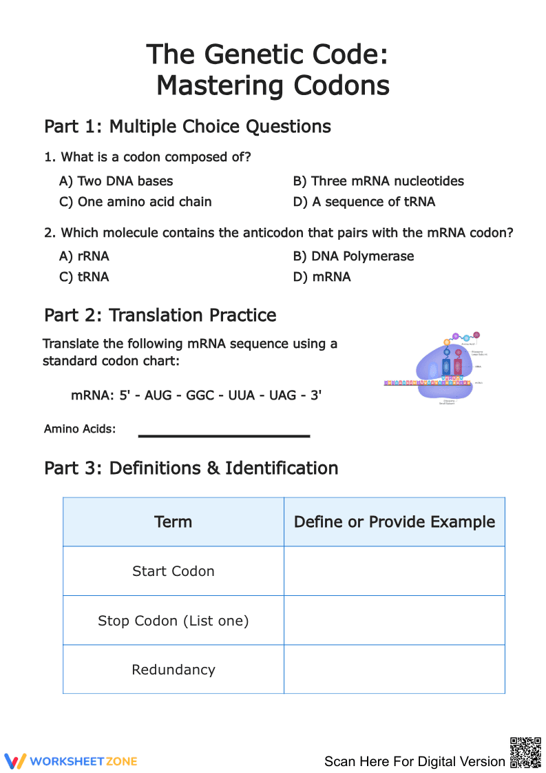 The Genetic Code: Mastering Codons Worksheet - Page 1