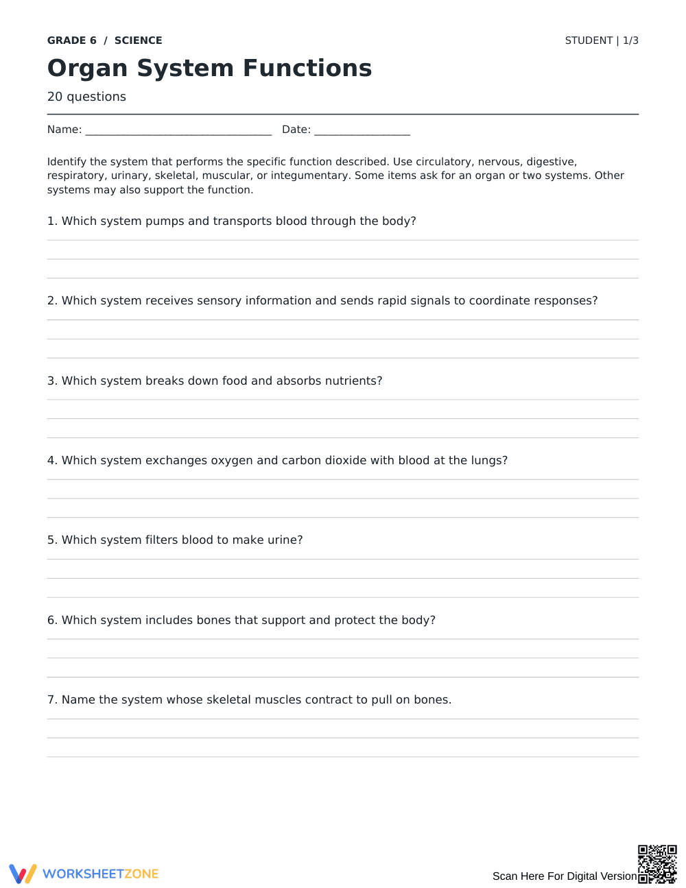 Organ System Functions Worksheet | Grade 6 Complete - Page 1