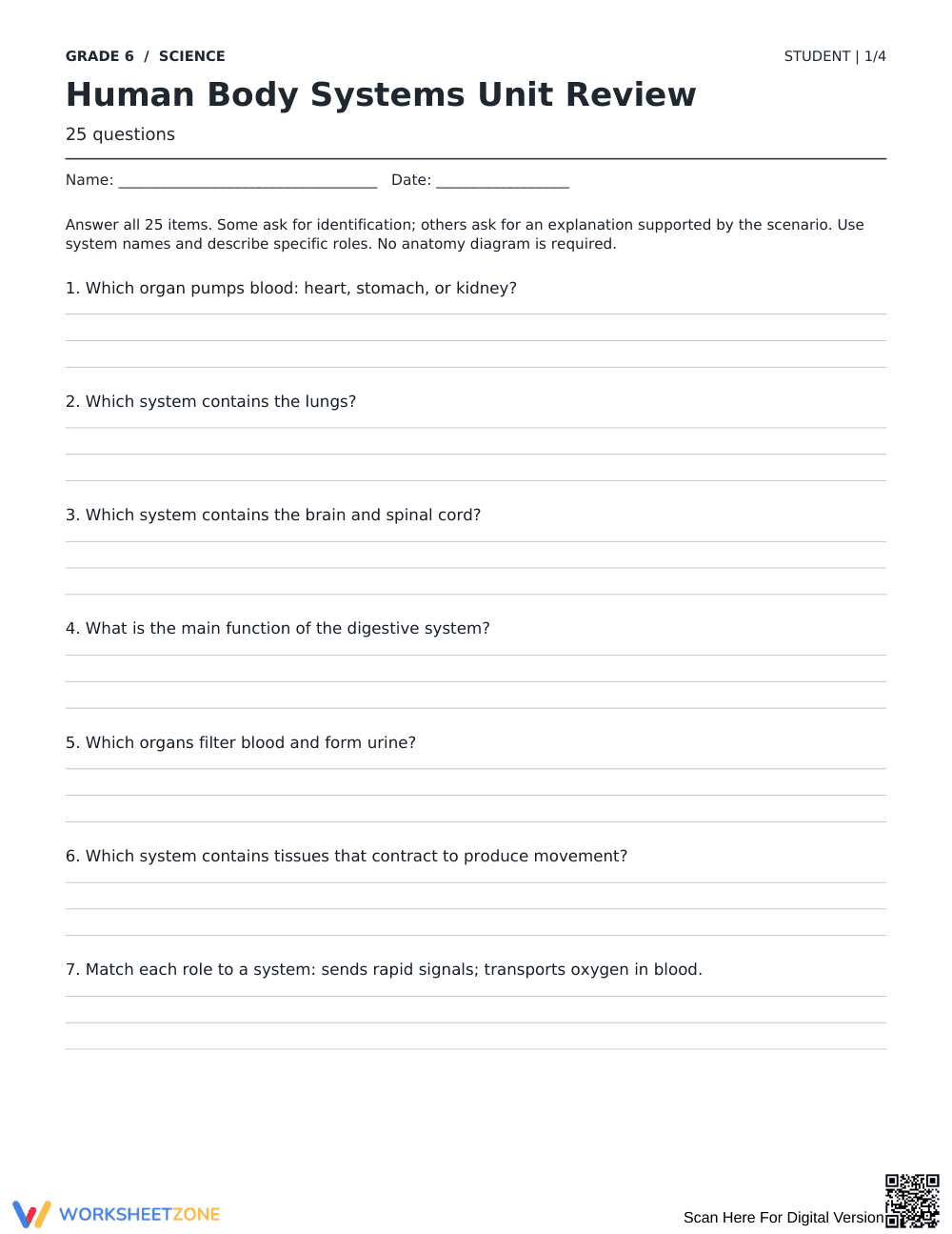 Human Body Systems Review Worksheet | Grade 6 Aligned - Page 1