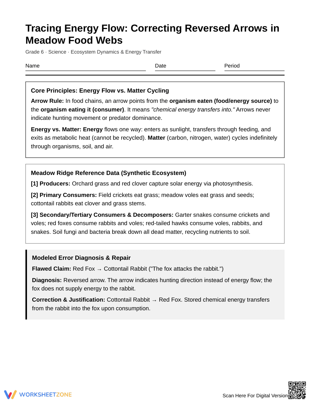 Essential Food Chain Arrows Worksheet | Grade 6 Science - Page 1