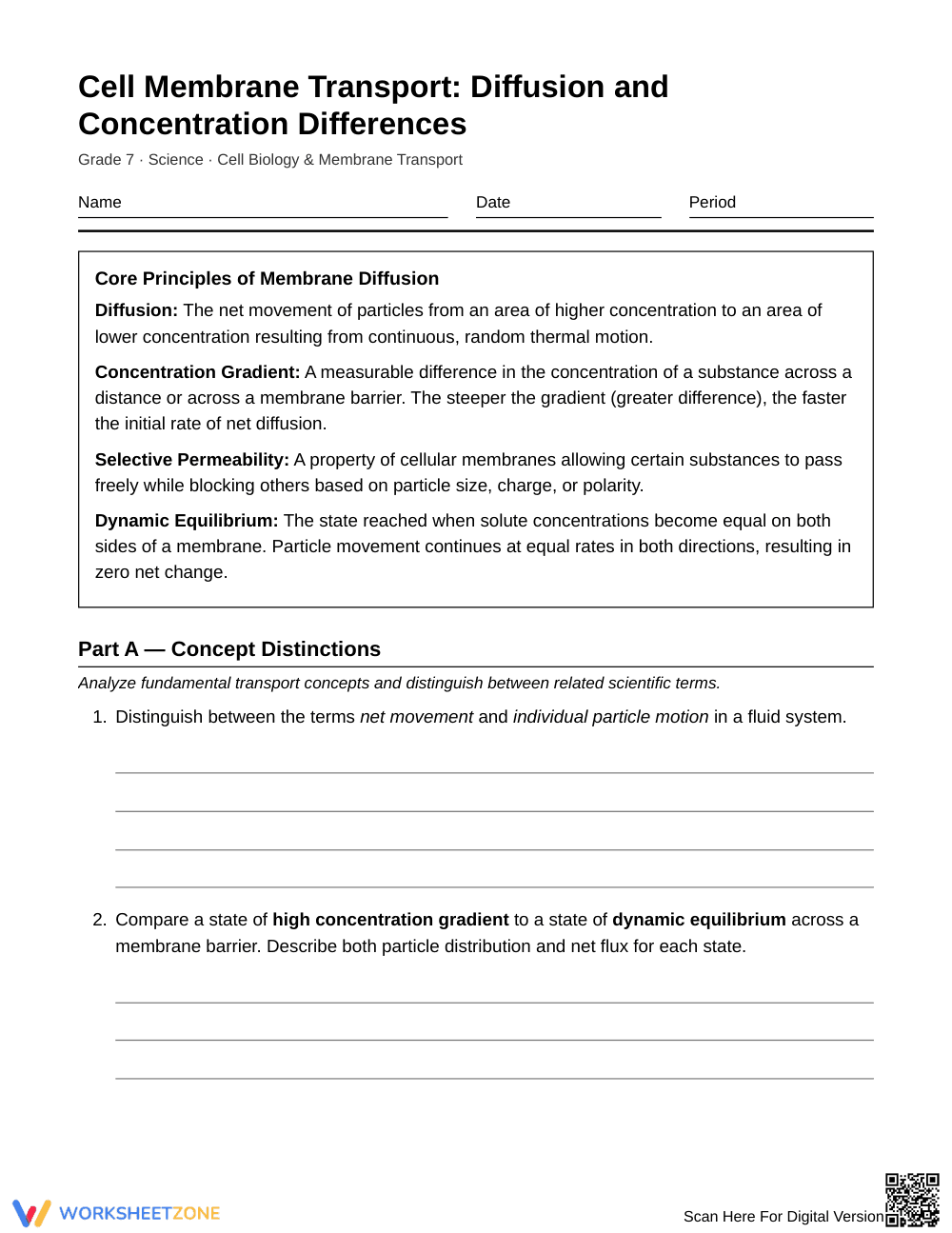 Complete Diffusion & Transport Worksheet | Grade 7 Science - Page 1