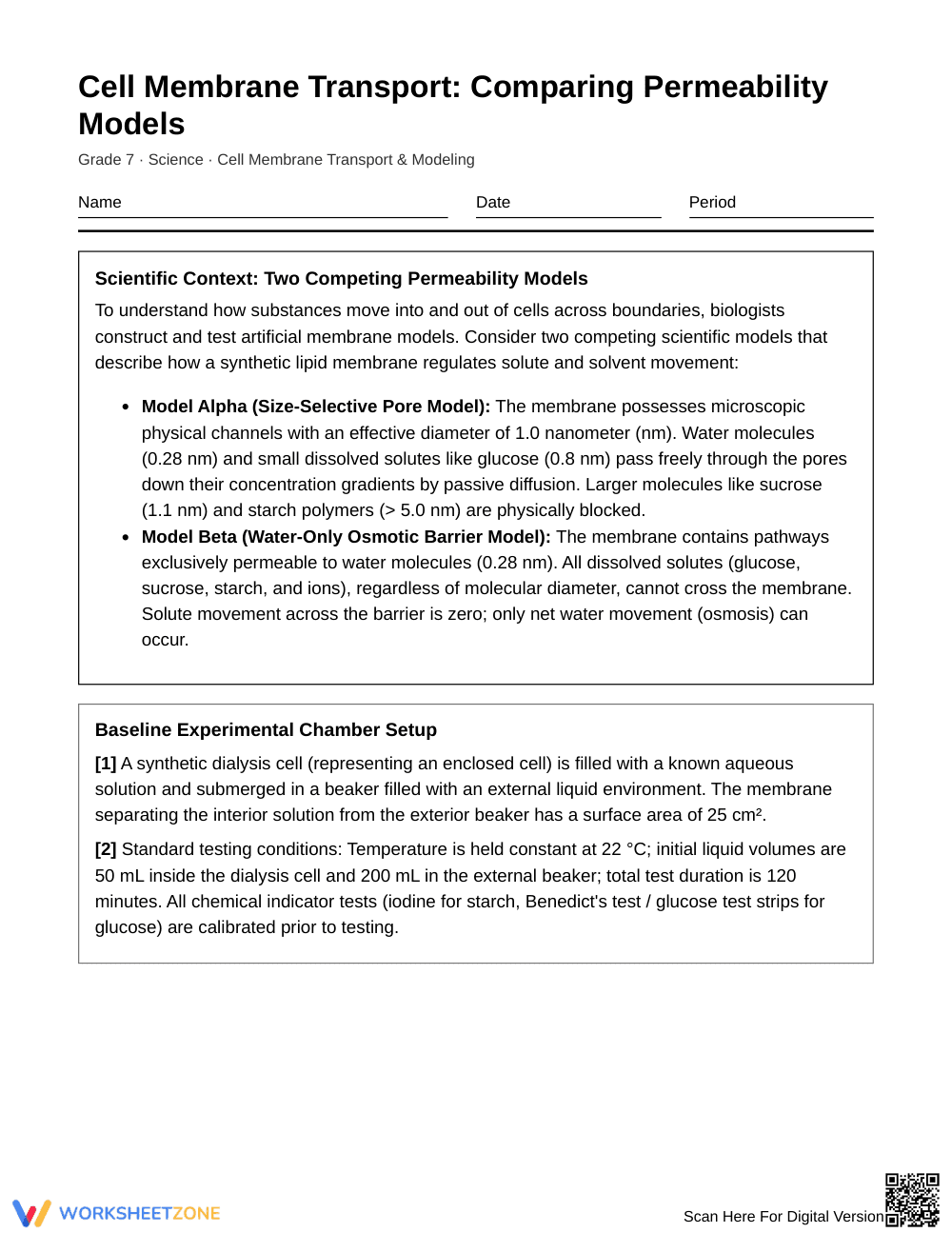 Essential Permeability Models Worksheet | Grade 7 Science - Page 1