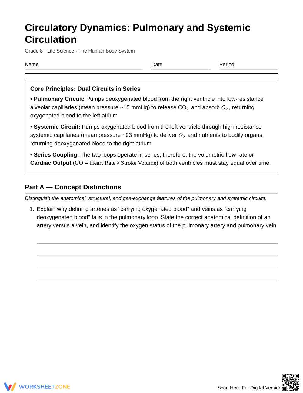 Complete Dual Circulation Worksheet | Grade 8 Science - Page 1