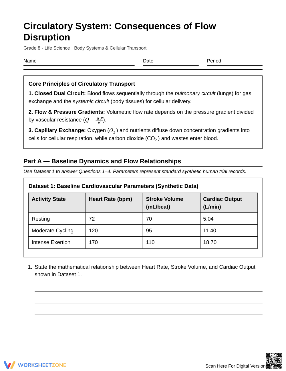 Essential Flow Disruption Worksheet | Grade 8 Science - Page 1