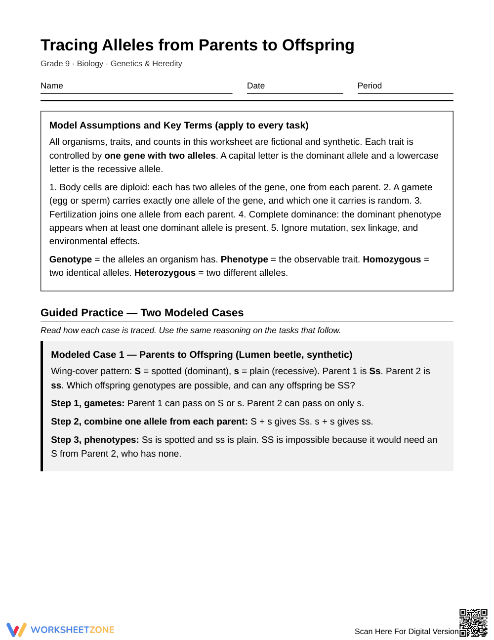 Printable Tracing Alleles Worksheet | Grade 9 Biology - Page 1