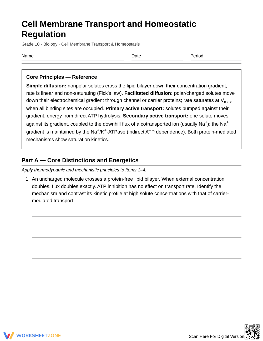 Complete Membrane Transport Worksheet | Grade 10 Biology - Page 1