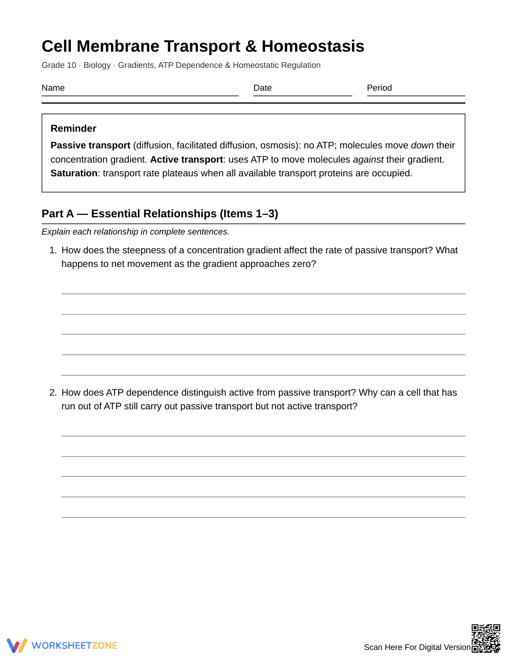 Complete Gradients & ATP Dependence Worksheet | Grade 10 - Page 1