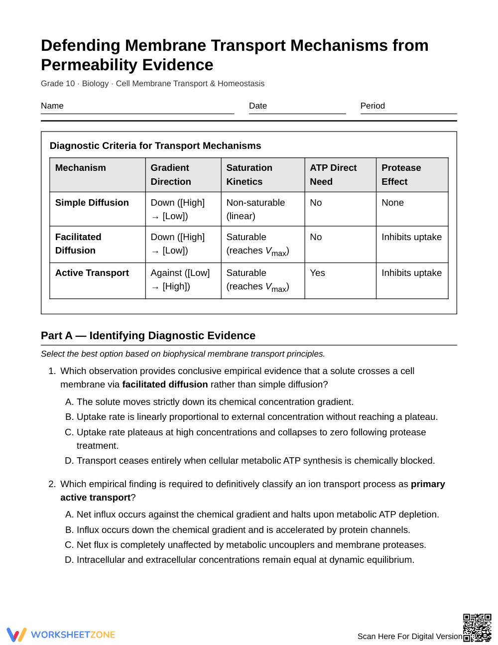 Proven Permeability Evidence Worksheet | Grade 10 Biology - Page 1