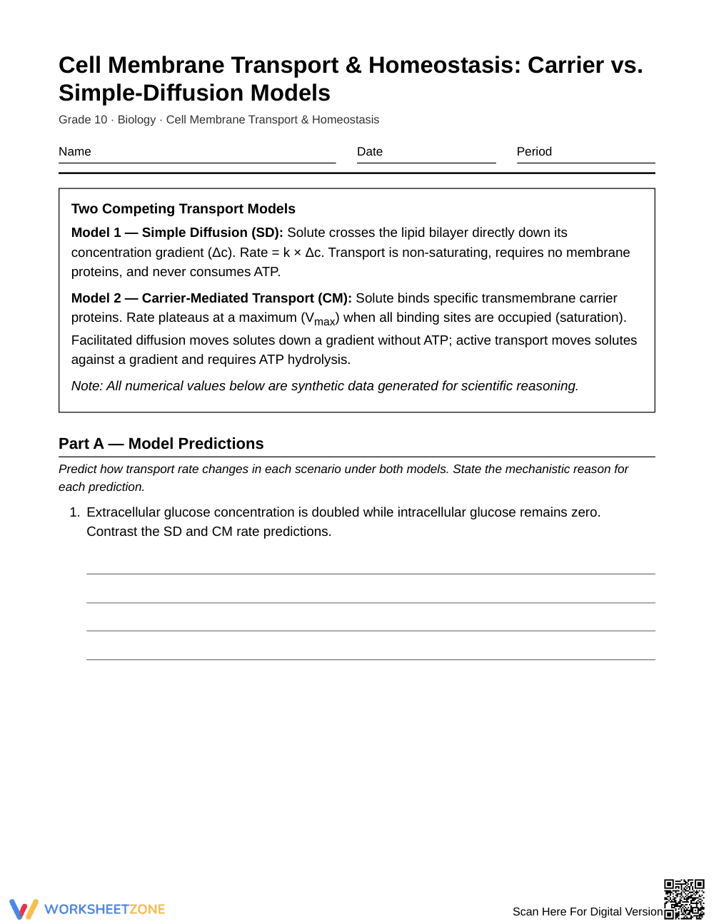 Complete Carrier vs Diffusion Worksheet | Grade 10 Biology - Page 1