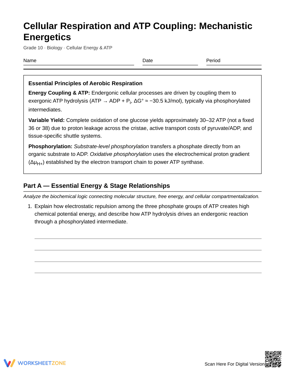 Complete Cellular Respiration Worksheet | Grade 10 - Page 1