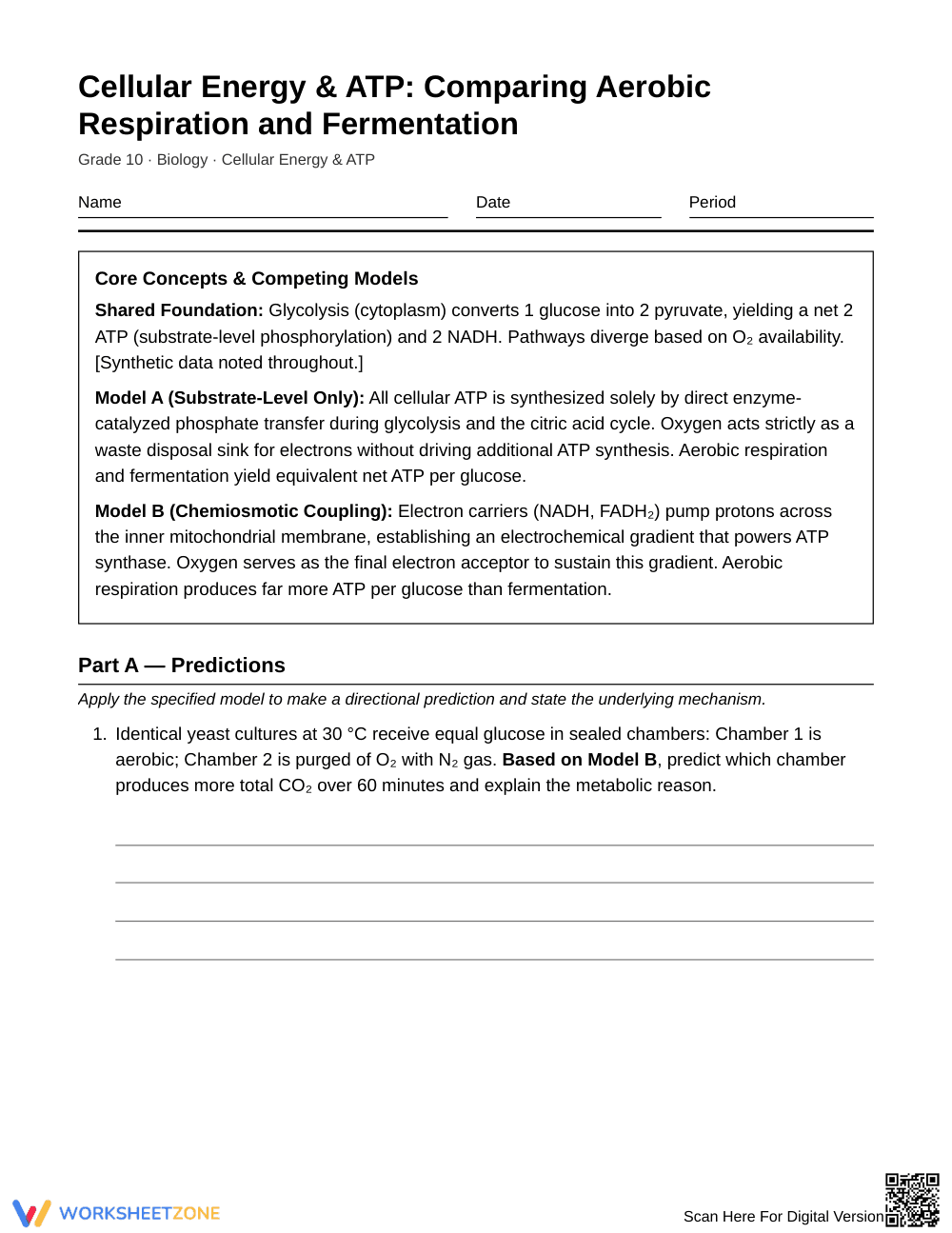 Ready Aerobic & Fermentation Worksheet | Grade 10 Biology - Page 1