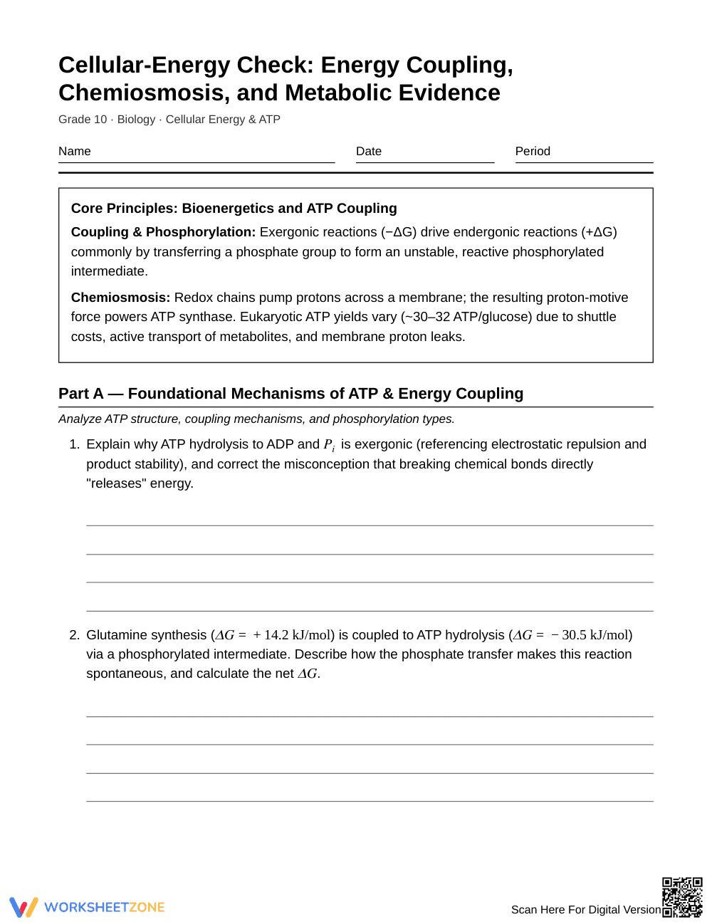 Complete Cellular Energy & ATP Worksheet | Grade 10 Biology - Page 1