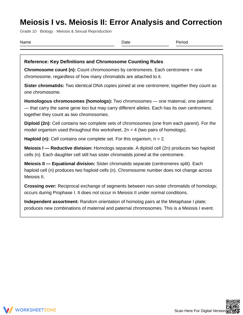 Essential Meiosis I and II Worksheet | Grade 10 Biology - Page 1