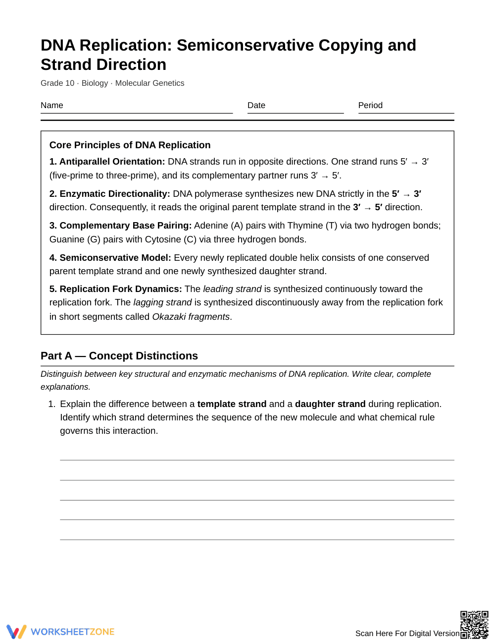 Complete DNA Strand Direction Worksheet | Grade 10 Biology - Page 1