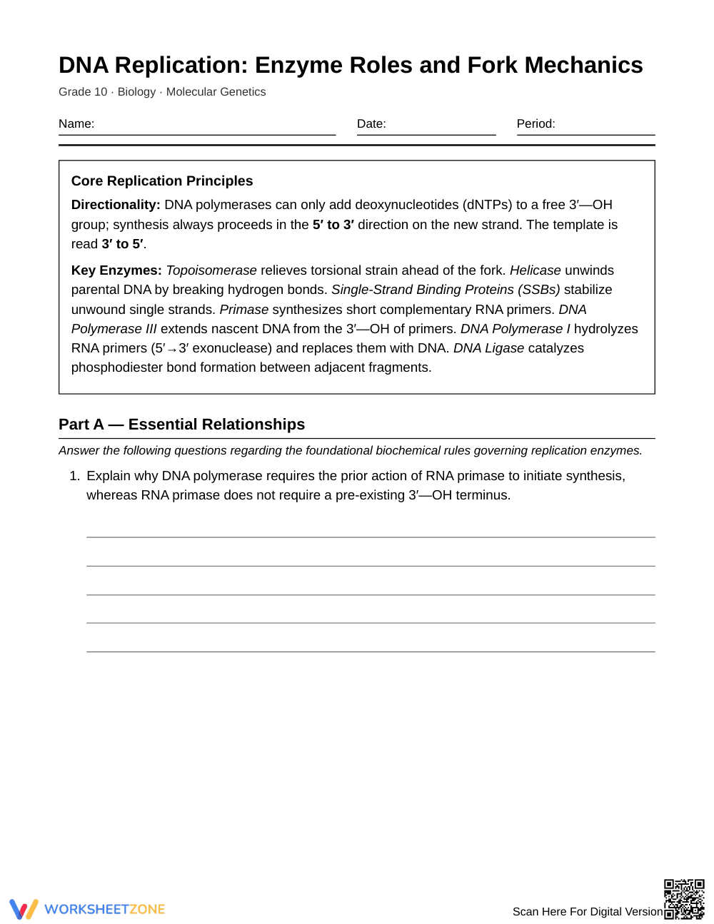 Proven Enzyme Roles at a Fork Worksheet | Grade 10 Biology - Page 1