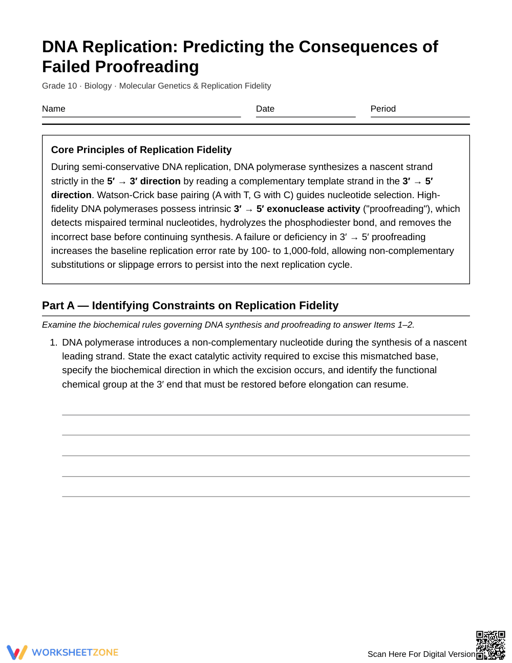 Complete DNA Proofreading Worksheet | Grade 10 Biology - Page 1