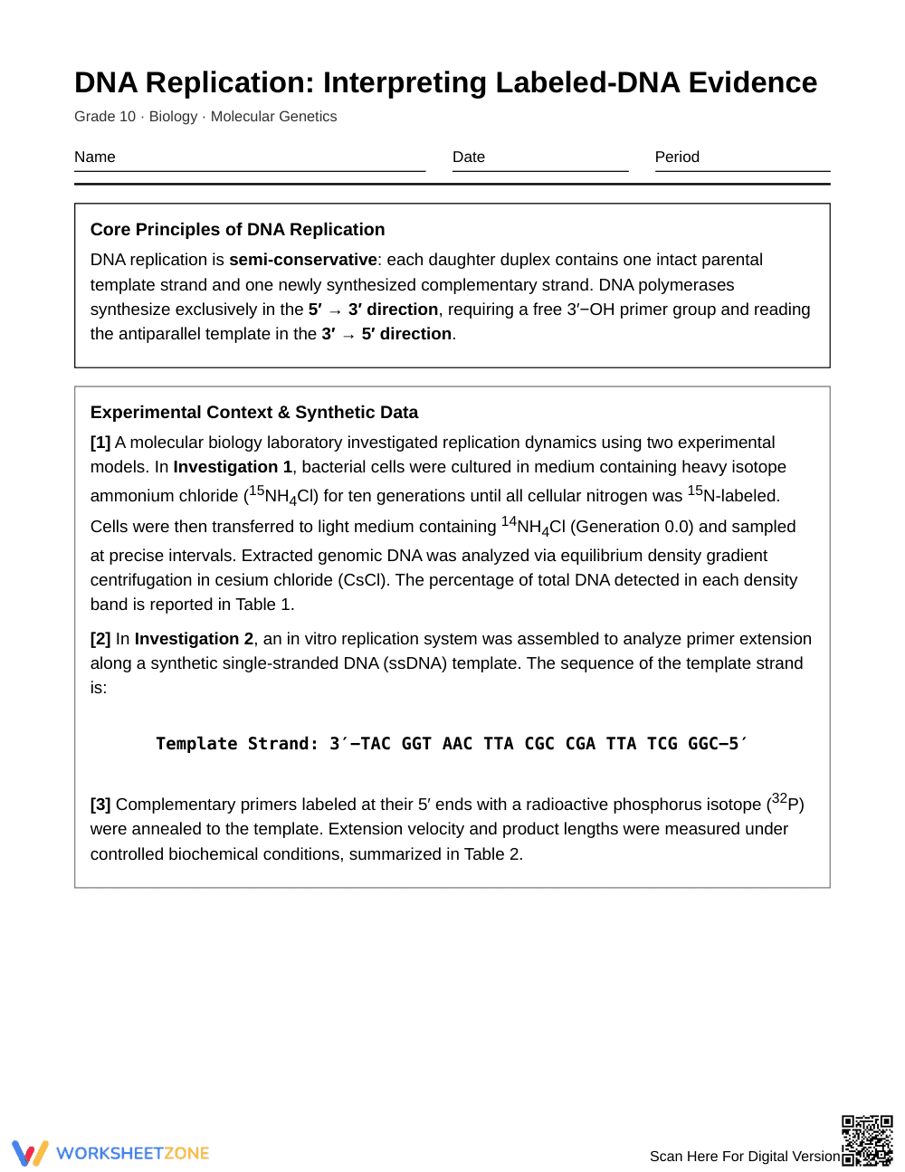 Essential Labeled-DNA Evidence Worksheet | Grade 10 Biology - Page 1