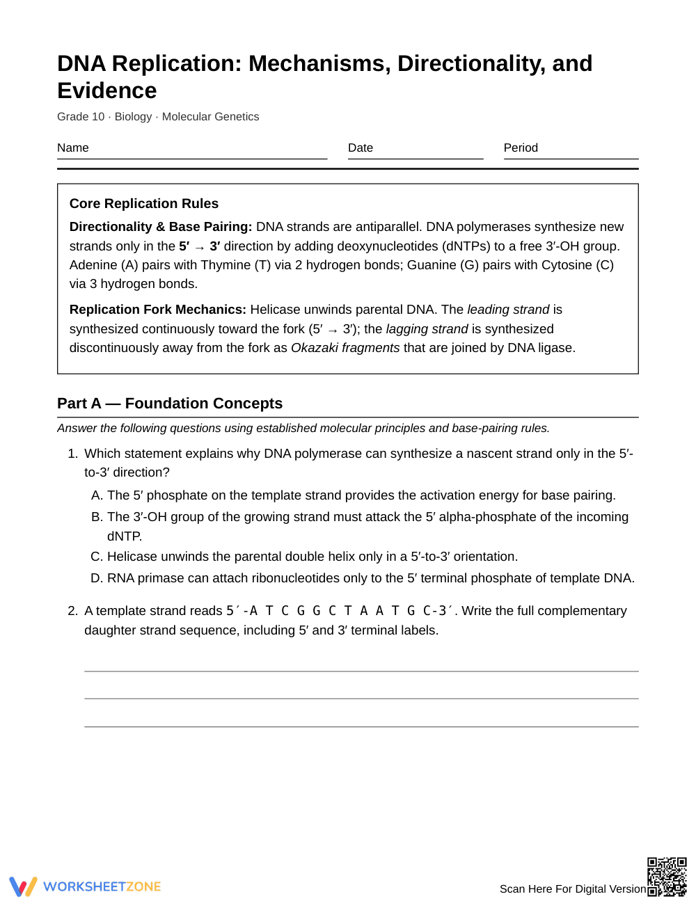 Essential DNA Replication Worksheet | Grade 10 Biology - Page 1