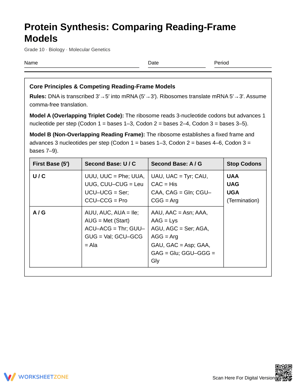 Essential Reading-Frame Models Worksheet | Grade 10 Biology - Page 1