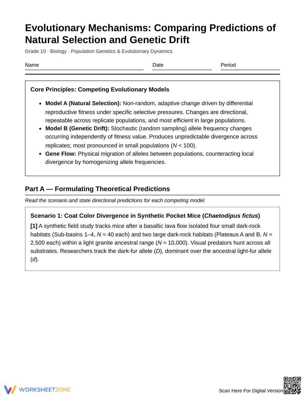 Essential Selection & Drift Worksheet | Grade 10 Biology - Page 1