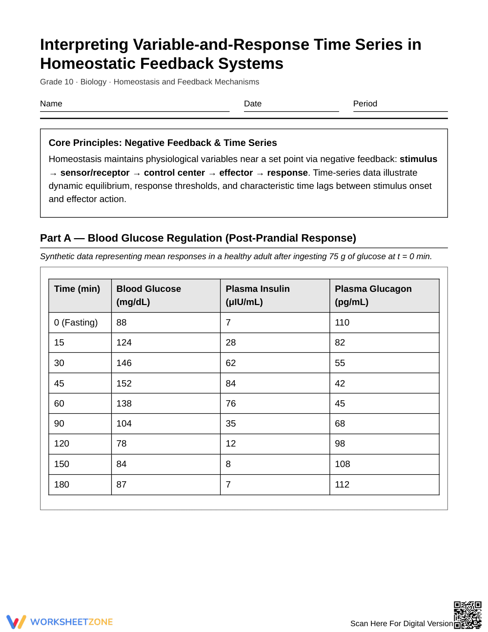 Ready Homeostasis Time Series Worksheet | Grade 10 Biology - Page 1