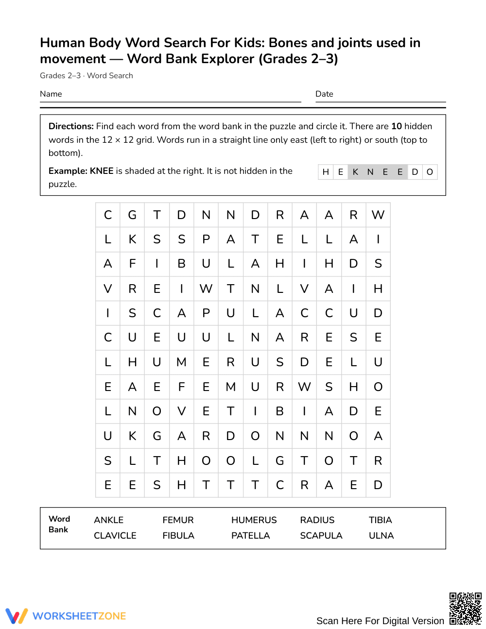 Printable Bones and Joints Word Search | Grades 2–3 Science - Page 1
