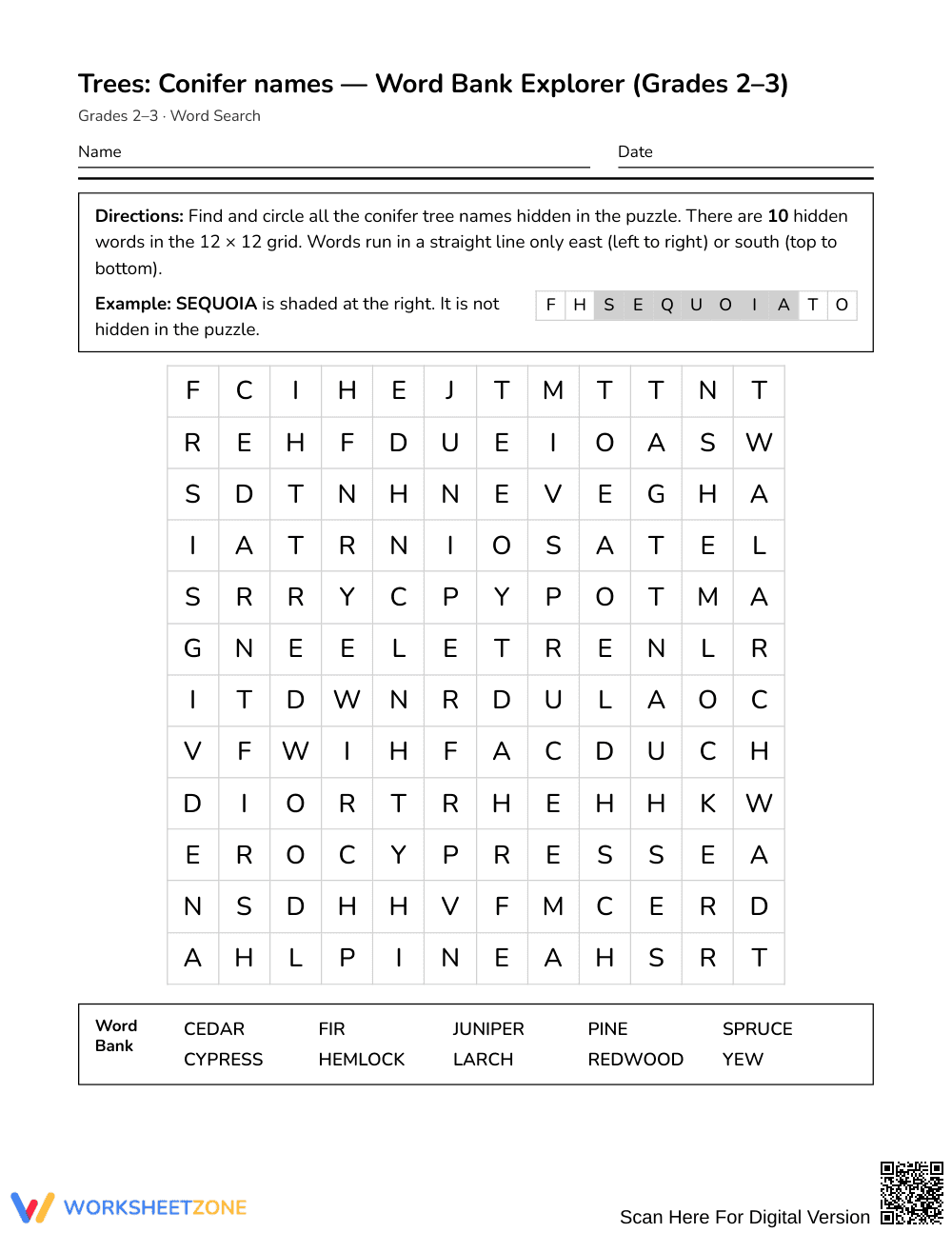 Printable Conifer Names Word Search | Grades 2–3 Science - Page 1