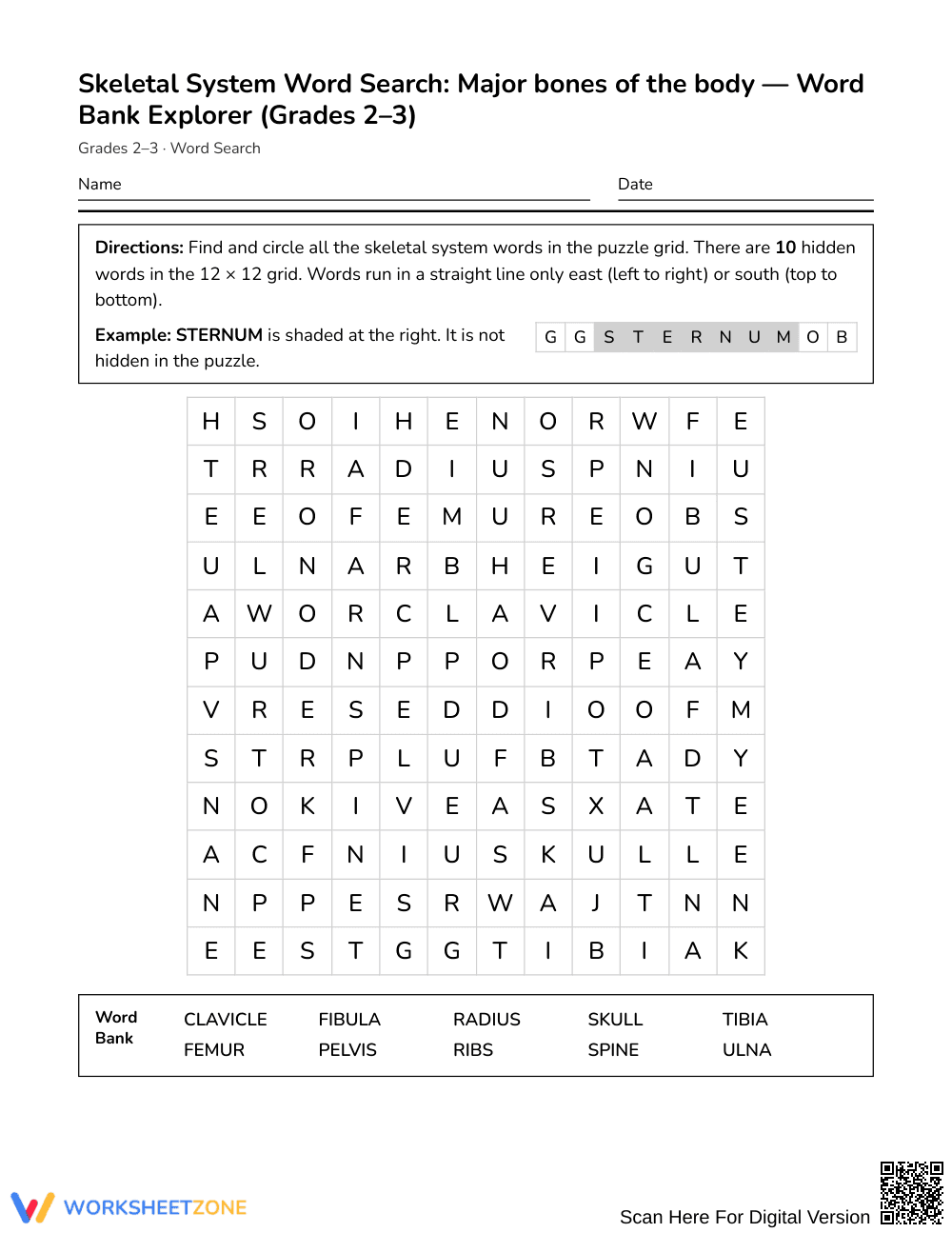 Printable Major Bones Word Search | Grades 2–3 Science - Page 1