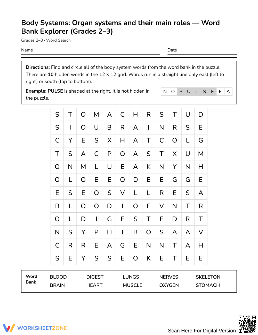 Printable Body Systems Word Search | Grades 2–3 Science - Page 1