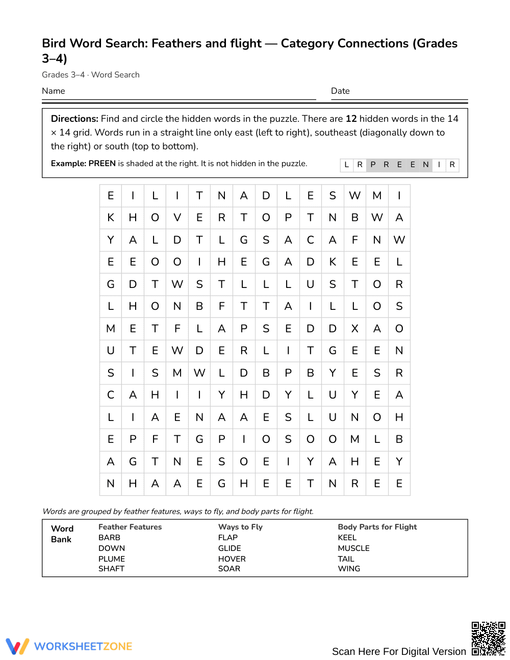 Ready Feathers & Flight Word Search | Grades 3–4 Science - Page 1