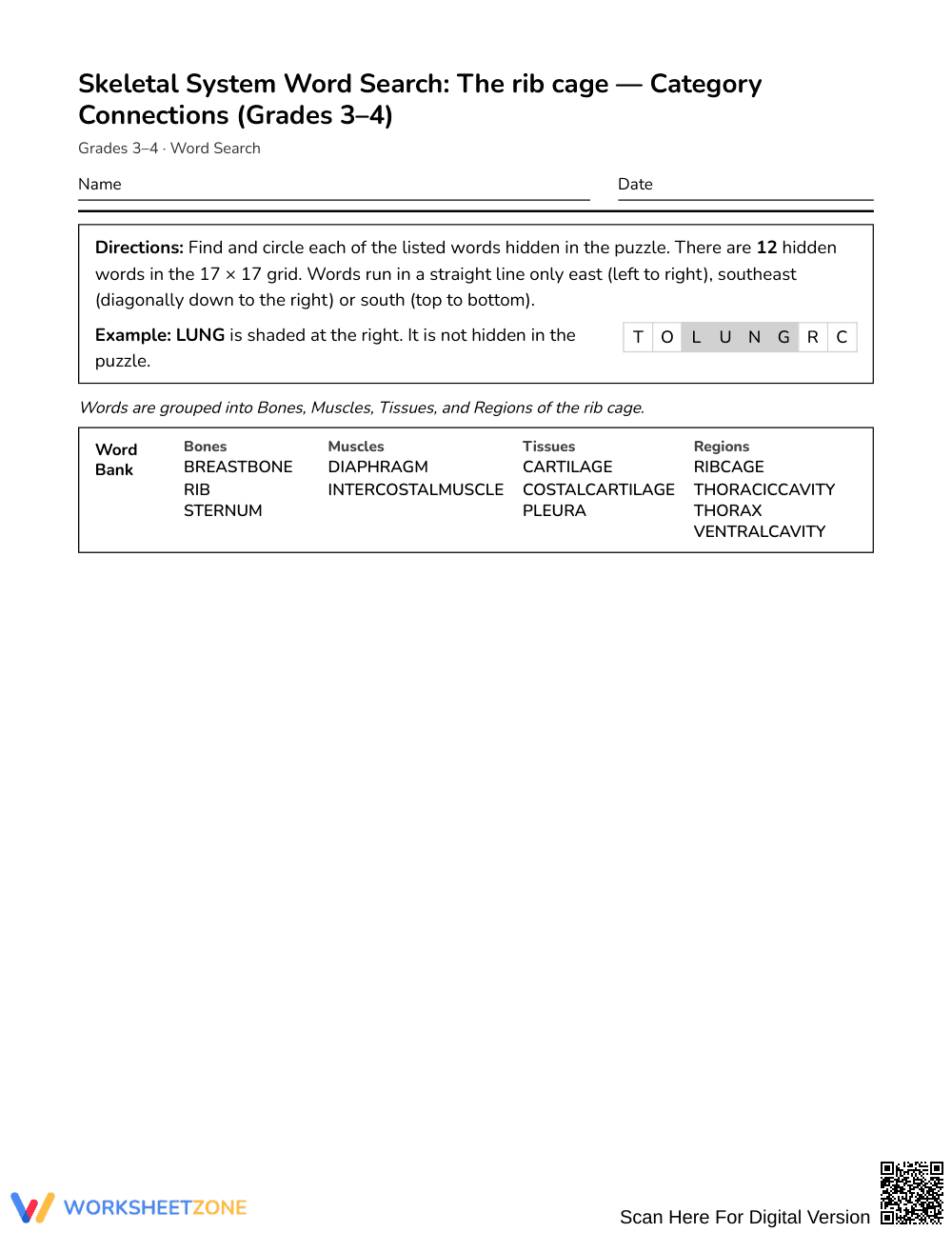 Printable Rib Cage Word Search | Grades 3–4 Science - Page 1