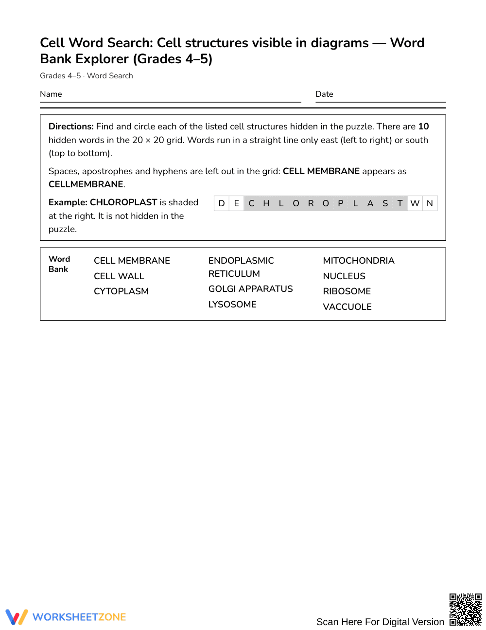 Essential Cell Structures Word Search | Grades 4–5 Science - Page 1