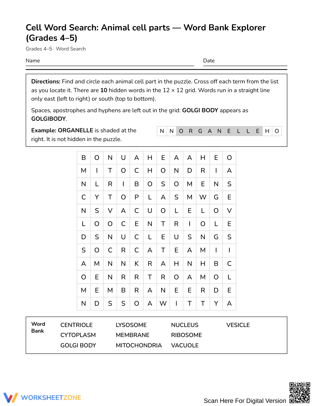 Ready Animal Cell Parts Word Search | Grades 4–5 Science - Page 1
